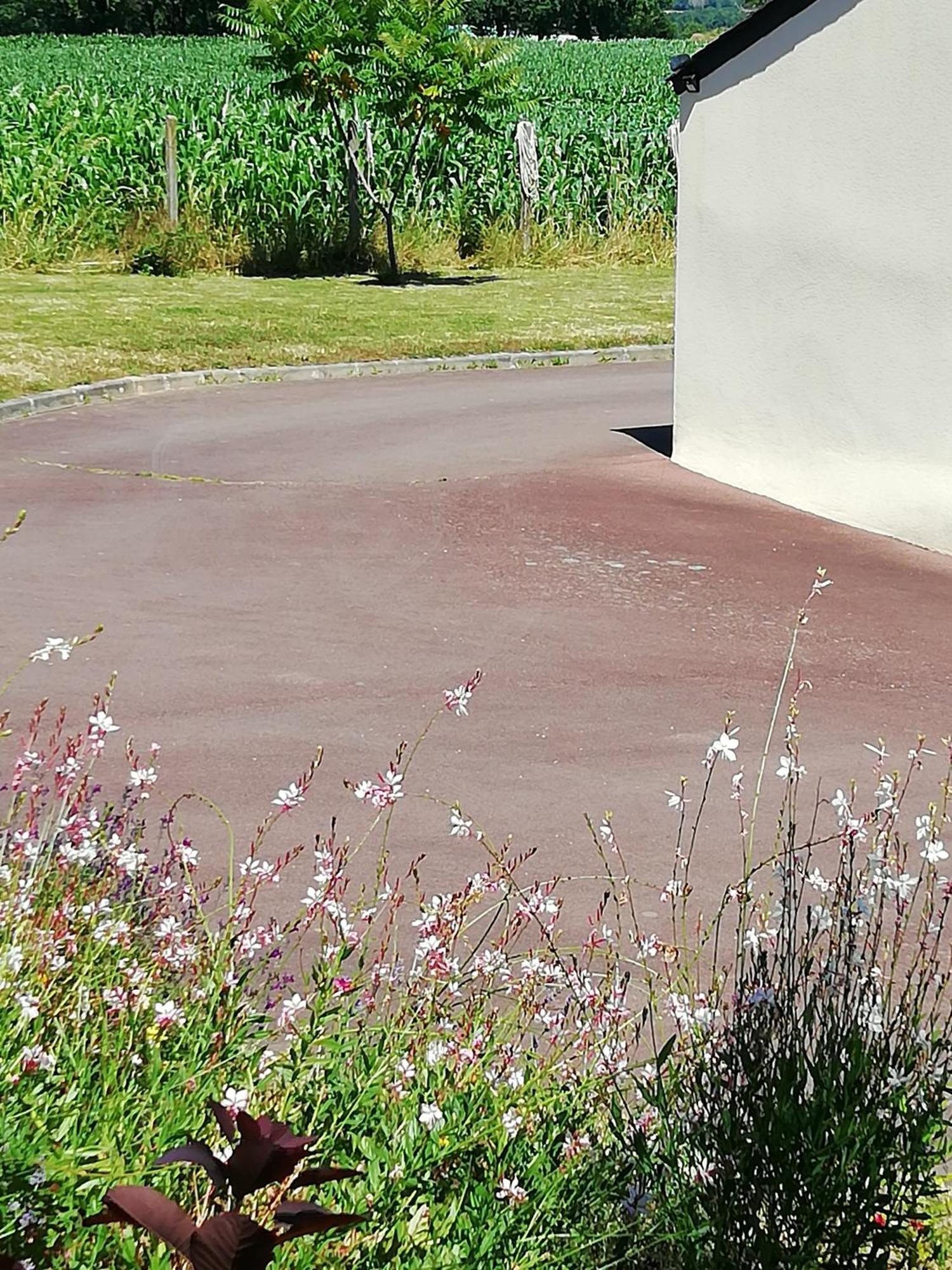 Bed and Breakfast Kerlan à Béganne Extérieur photo
